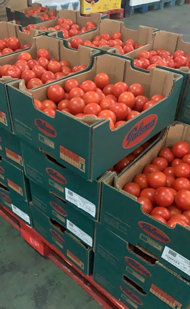 Reparto de tomates del programa Fega | Banco de Alimentos de Badajoz