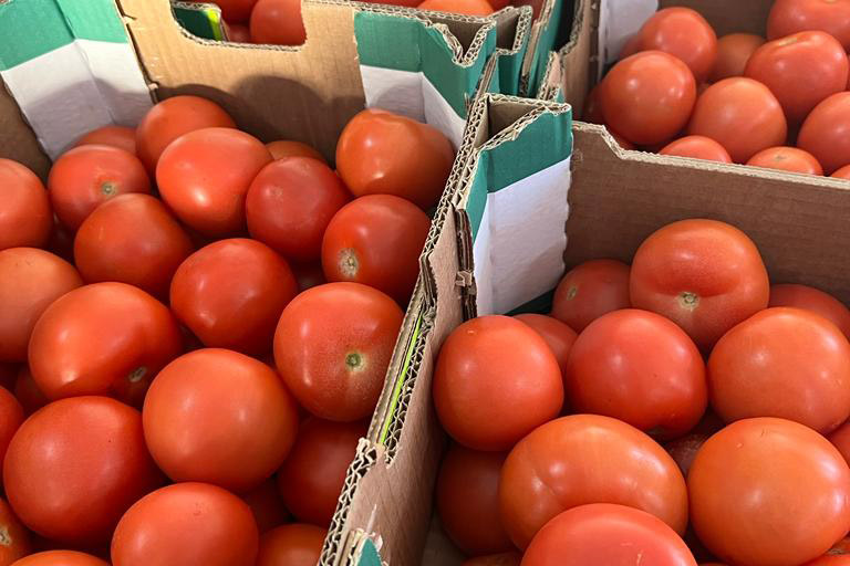 Donación de tomates