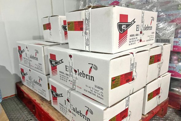Donación El Culebrín