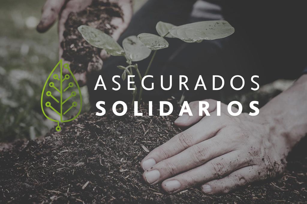 Asegurados Solidarios