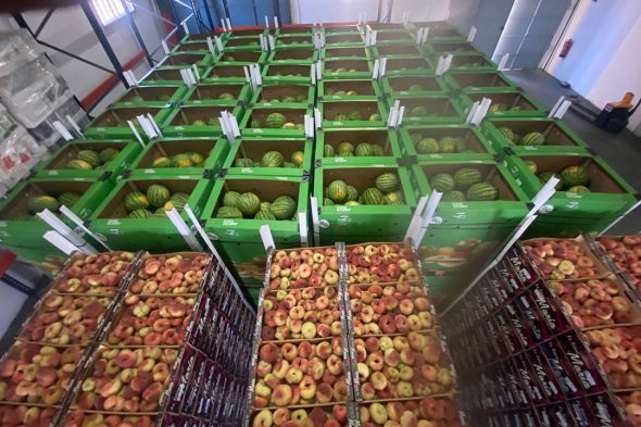 Pineda Renco dona fruta al Banco de Alimentos