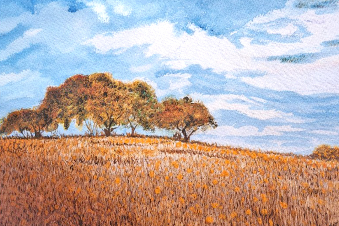 Exposición de acuarelas Ramón Fernández